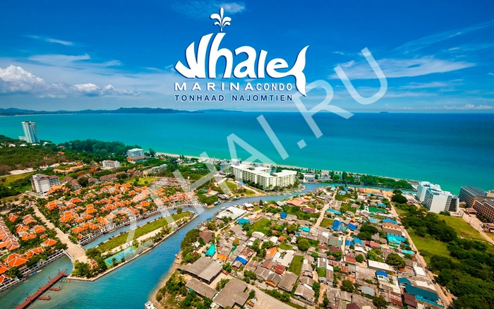Whale Marina Condo Pattaya, Паттайя, На-Джомтьен - фото, цены, карта и месторасположение